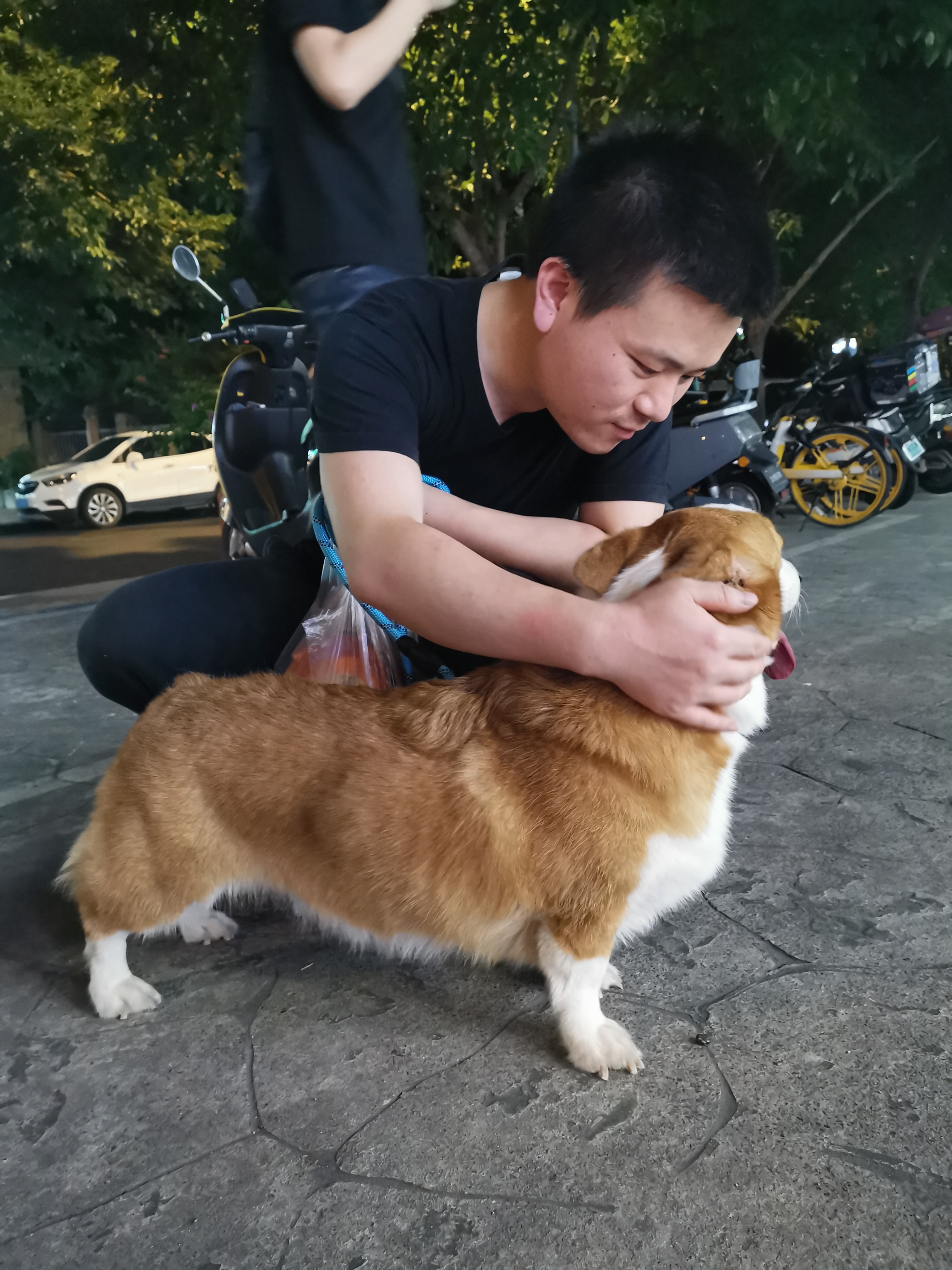 宠物照片